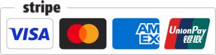Stripe、Visa、Mastercard、American Express、銀聯